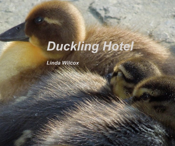 View Duckling Hotel Linda Wilcox by Linda Wilcox