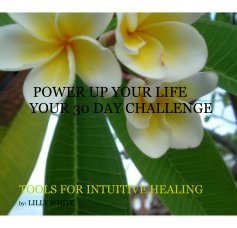 POWER UP YOUR LIFE YOUR 30 DAY CHALLENGE book cover