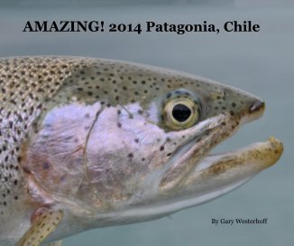 AMAZING! 2014 Patagonia, Chile book cover