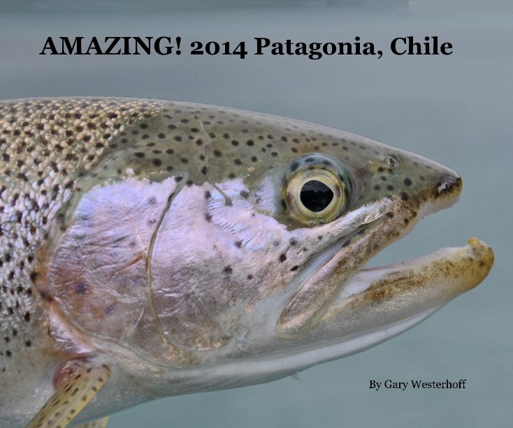 AMAZING! 2014 Patagonia, Chile nach westerho anzeigen
