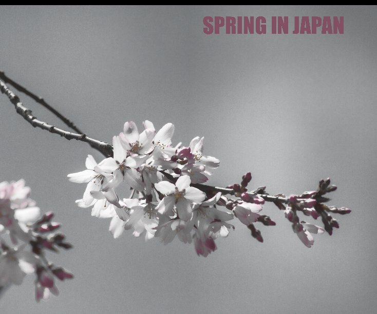 View Spring in Japan by Edoardo Scaramella