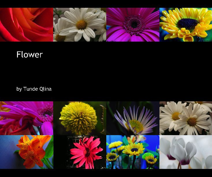 View Flower by Tunde Qlina