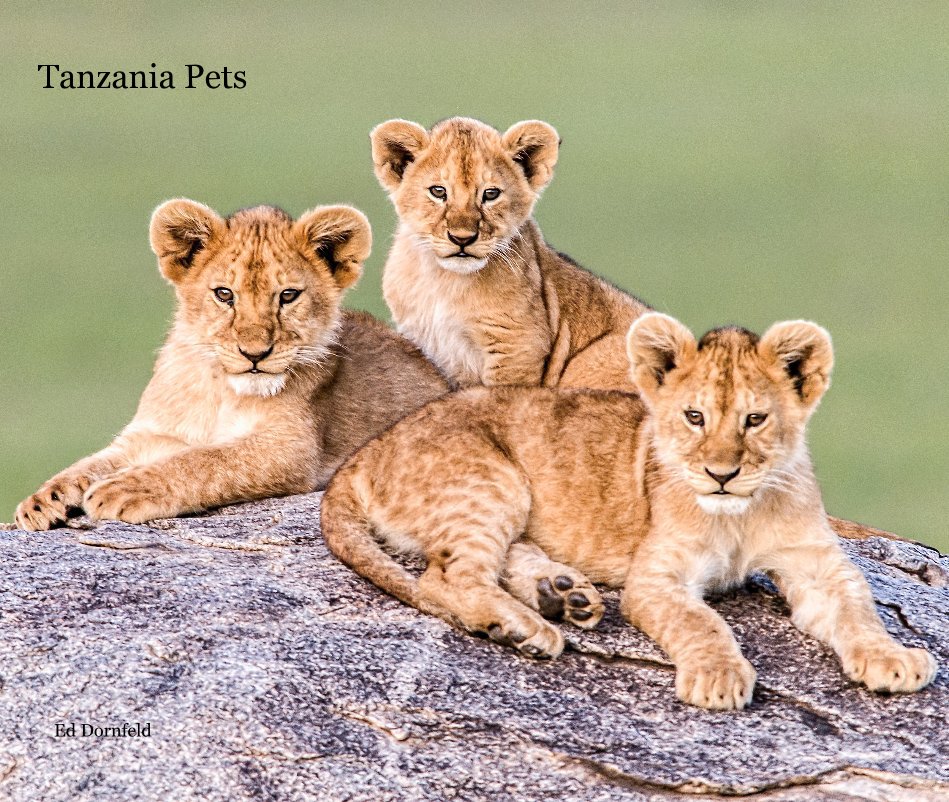 View Tanzania Pets by Ed Dornfeld