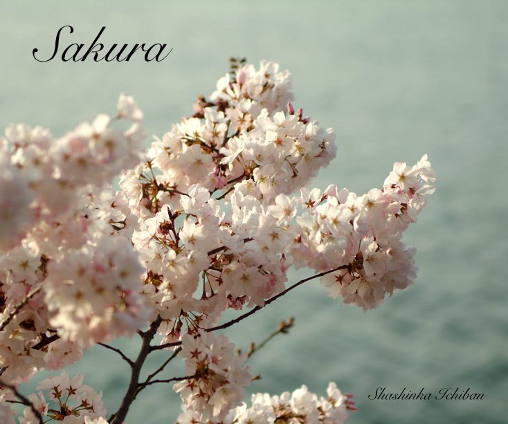 Ver Sakura por Shashinka Ichiban