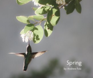 Spring book cover