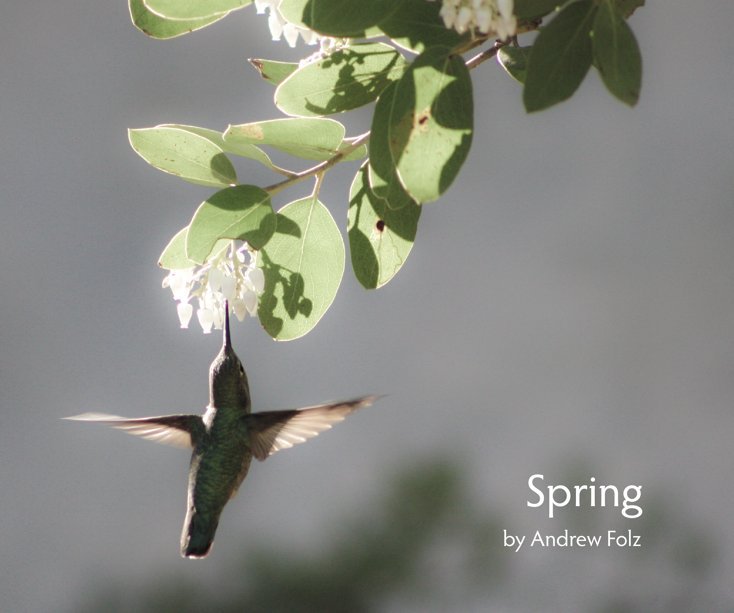 View Spring by Andrew Folz