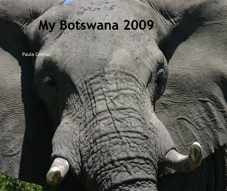 Ver My Botswana 2009 por Paula Conrad