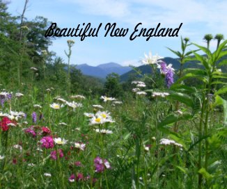Beautiful New England book cover