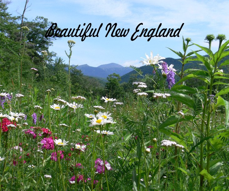 Beautiful New England nach Nancie Martin anzeigen