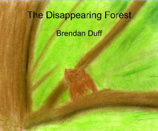 The Disappearing Forest book cover