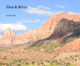 Zion & Bryce book cover
