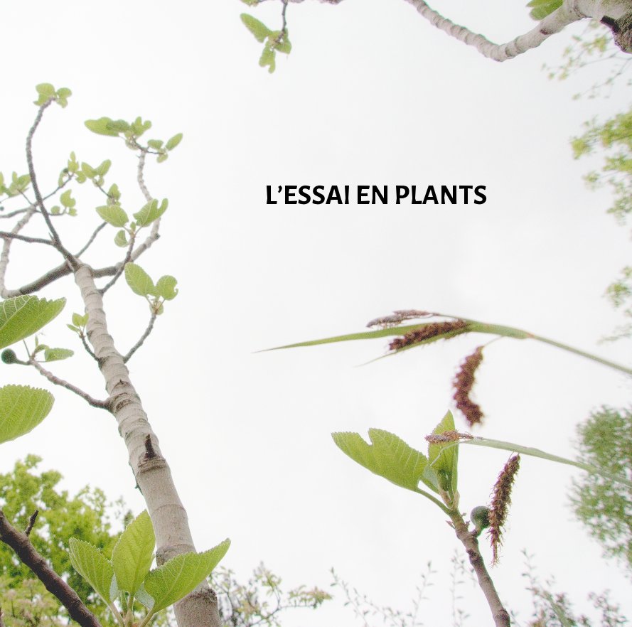 View L’ESSAI EN PLANTS by david-ponce
