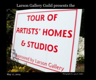 Larson Gallelry Tour of Homes book cover
