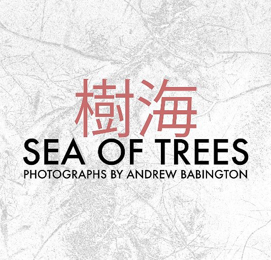 View Sea of Trees by Andrew Babington