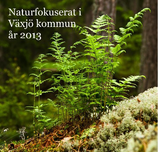 View Naturfokuserat i Växjö kommun år 2013 by Ulf Arvidsson