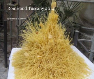 Rome and Tuscany 2014 book cover