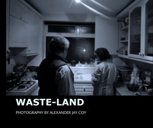 WASTE-LAND book cover
