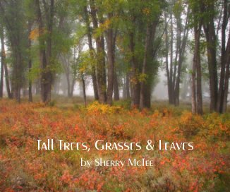Tall Trees, Grasses & Leaves book cover