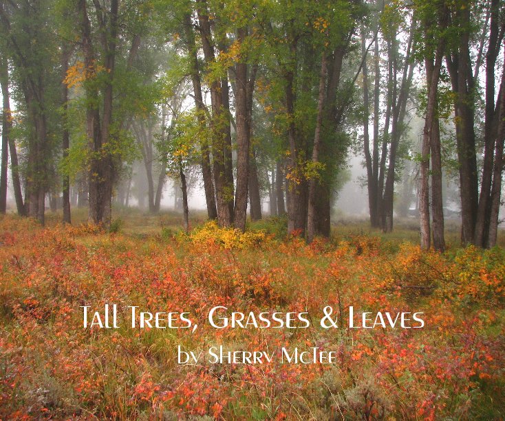 Ver Tall Trees, Grasses & Leaves por Sherry McTee