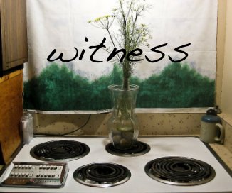 witness book cover