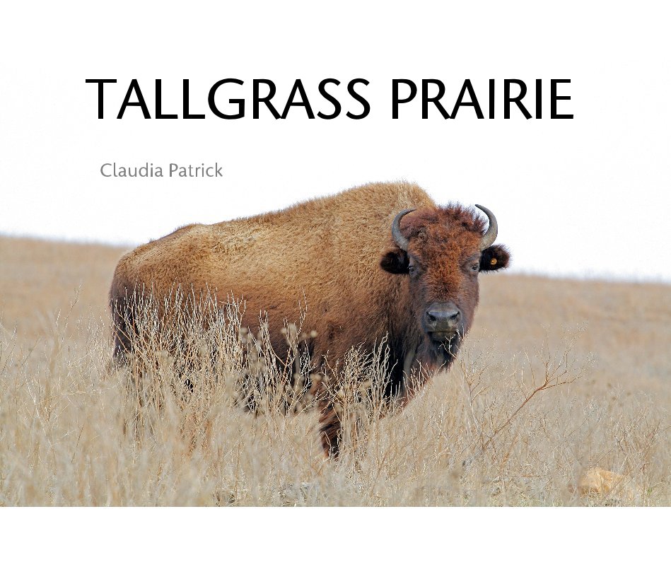 Ver Tallgrass Prairie por Claudia Patrick