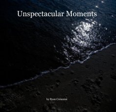 Unspectacular Moments book cover