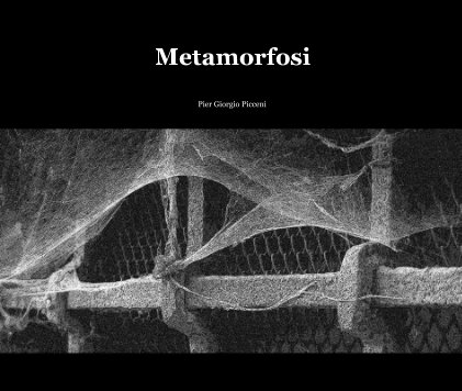 Metamorfosi book cover