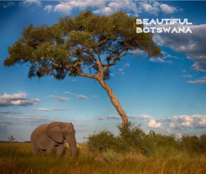 BEAUTIFUL BOTSWANA book cover