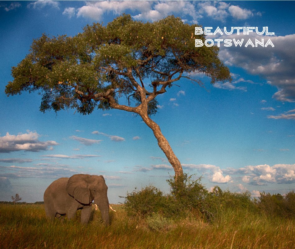 View BEAUTIFUL BOTSWANA by Marylou Badeaux