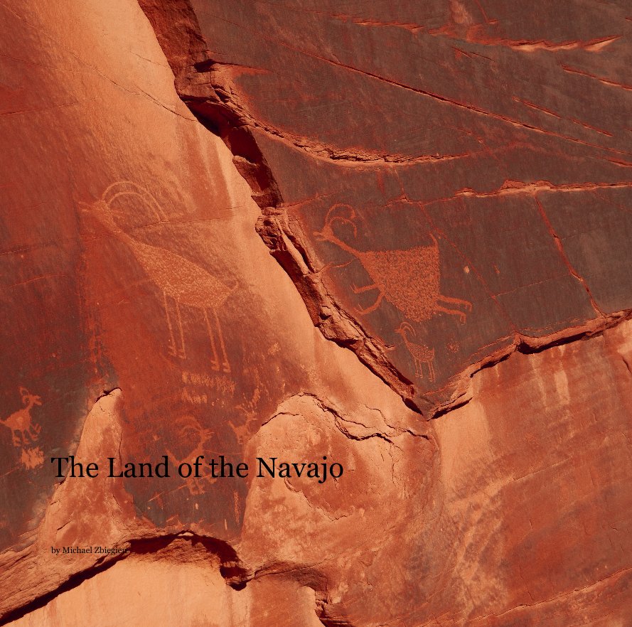 View The Land of the Navajo by Michael Zbiegien
