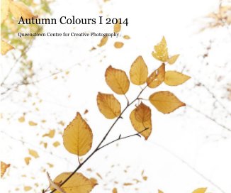 Autumn Colours I 2014 book cover