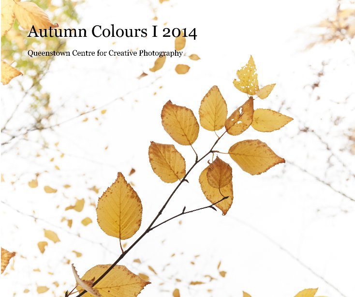 View Autumn Colours I 2014 by QCCP