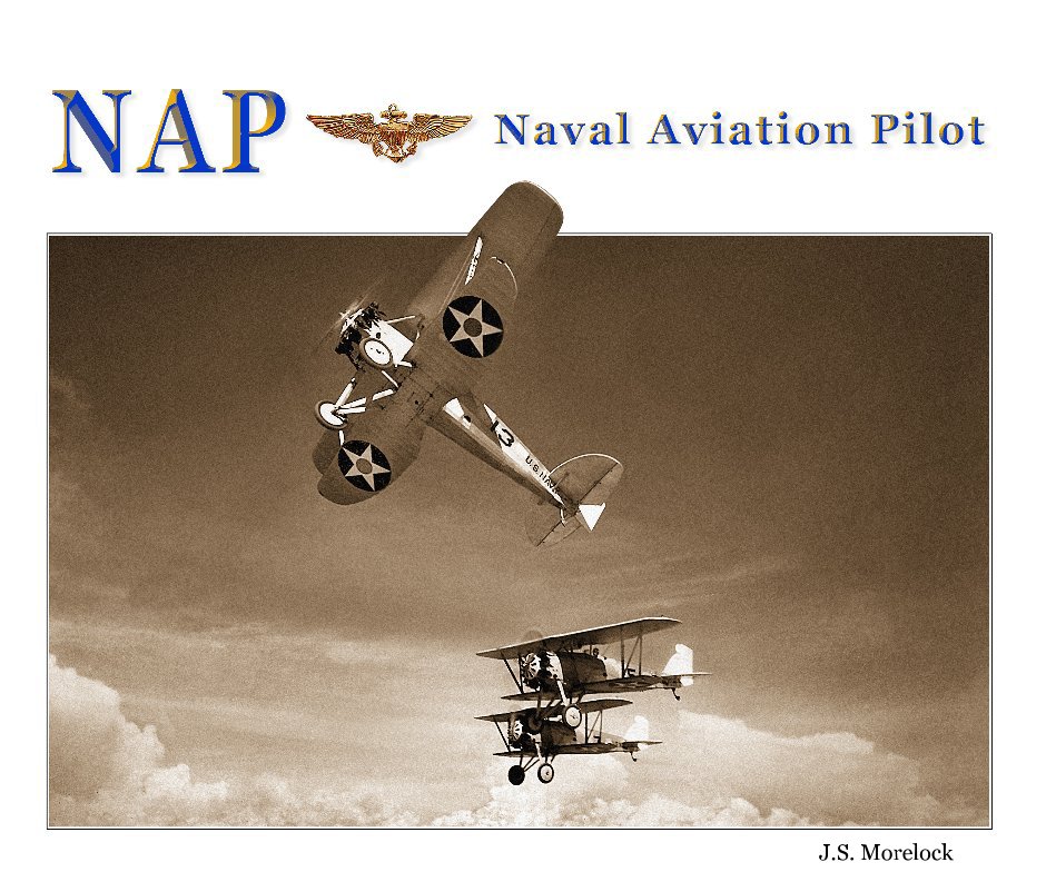 View Naval Aviation  Pilot by Jerry Morelock
