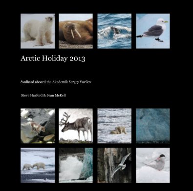 Arctic Holiday 2013 book cover