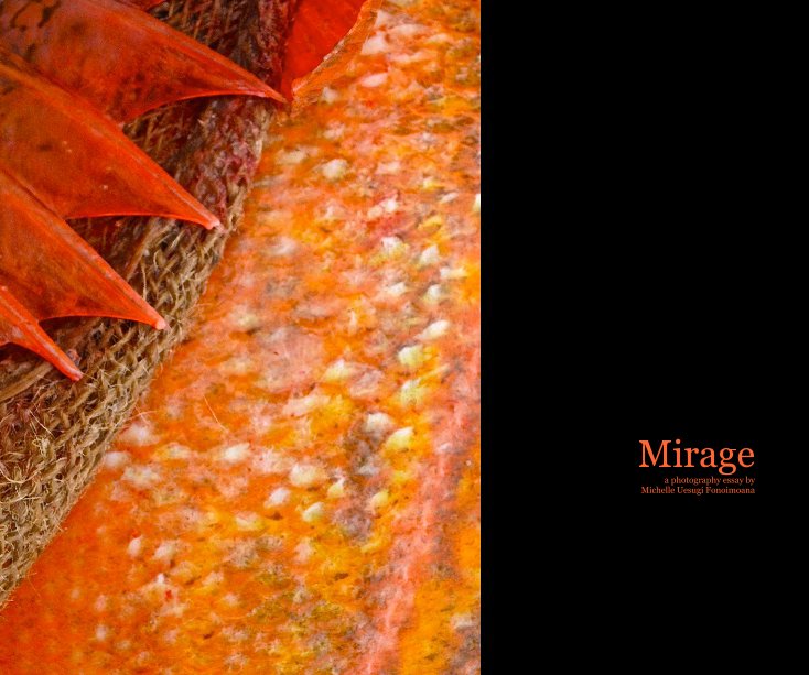 Bekijk Mirage a photography essay by Michelle Uesugi Fonoimoana op Michelle Fonoimoana