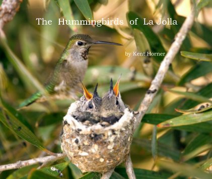 Hummingbirds of La Jolla - Big Book Final book cover