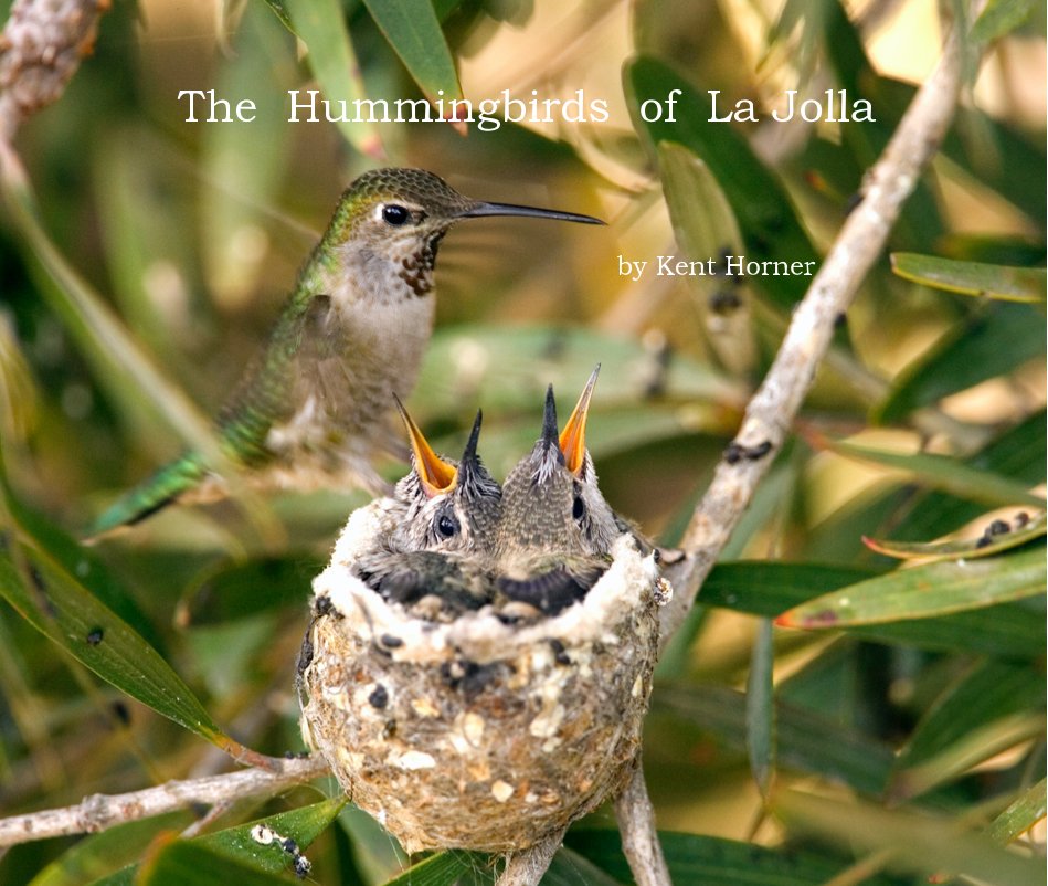 Ver Hummingbirds of La Jolla - Big Book Final por Kent Horner