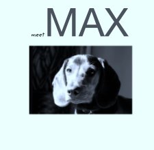 meet MAX book cover