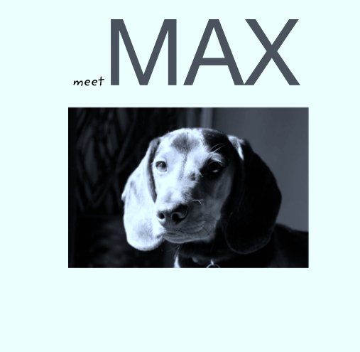 View meet MAX by Amanda Siracusa