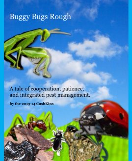 Buggy Bugs Rough book cover
