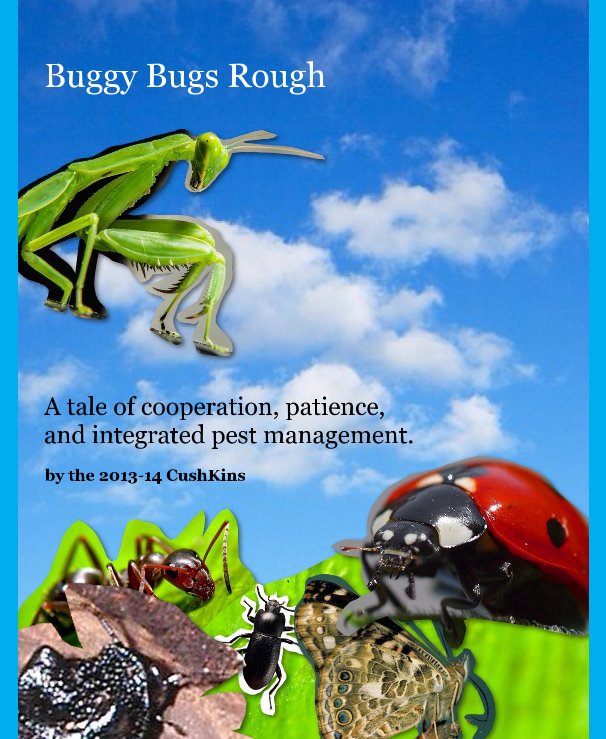 Ver Buggy Bugs Rough por the 2013-14 CushKins