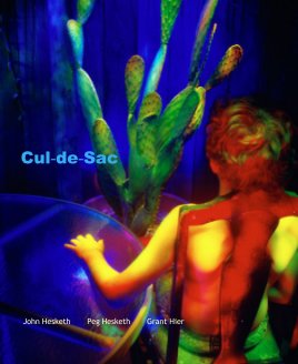 Cul-de-Sac book cover