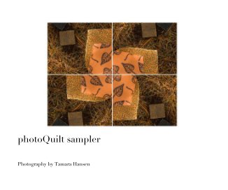 photoQuilt sampler book cover