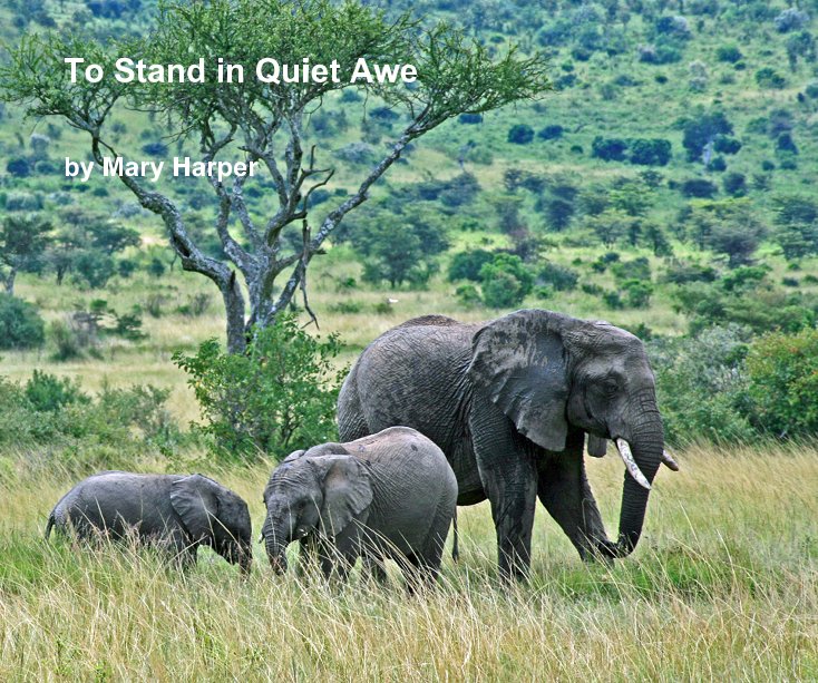 View To Stand in Quiet Awe by Mary Harper