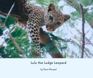 Lulu the Lodge Leopard book cover