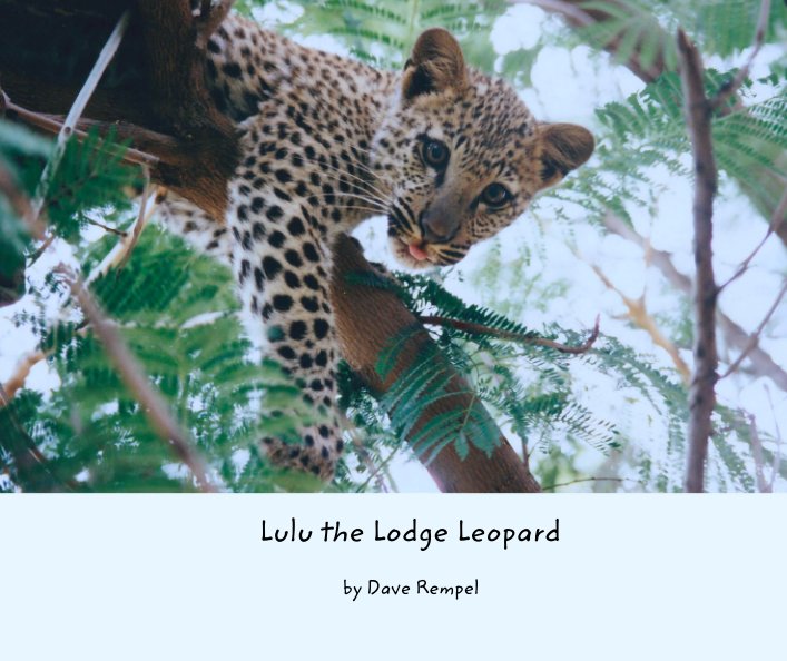 View Lulu the Lodge Leopard by Dave Rempel