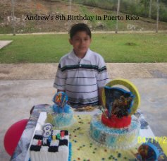 Andrew's 8th Birthday in Puerto Rico book cover