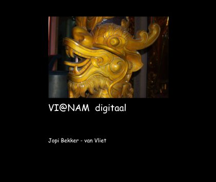 VI@NAM digitaal book cover