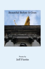 Beautiful Before It Goes book cover