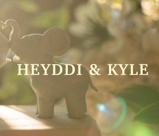 Heyddi & Kyle Anniversary book cover
